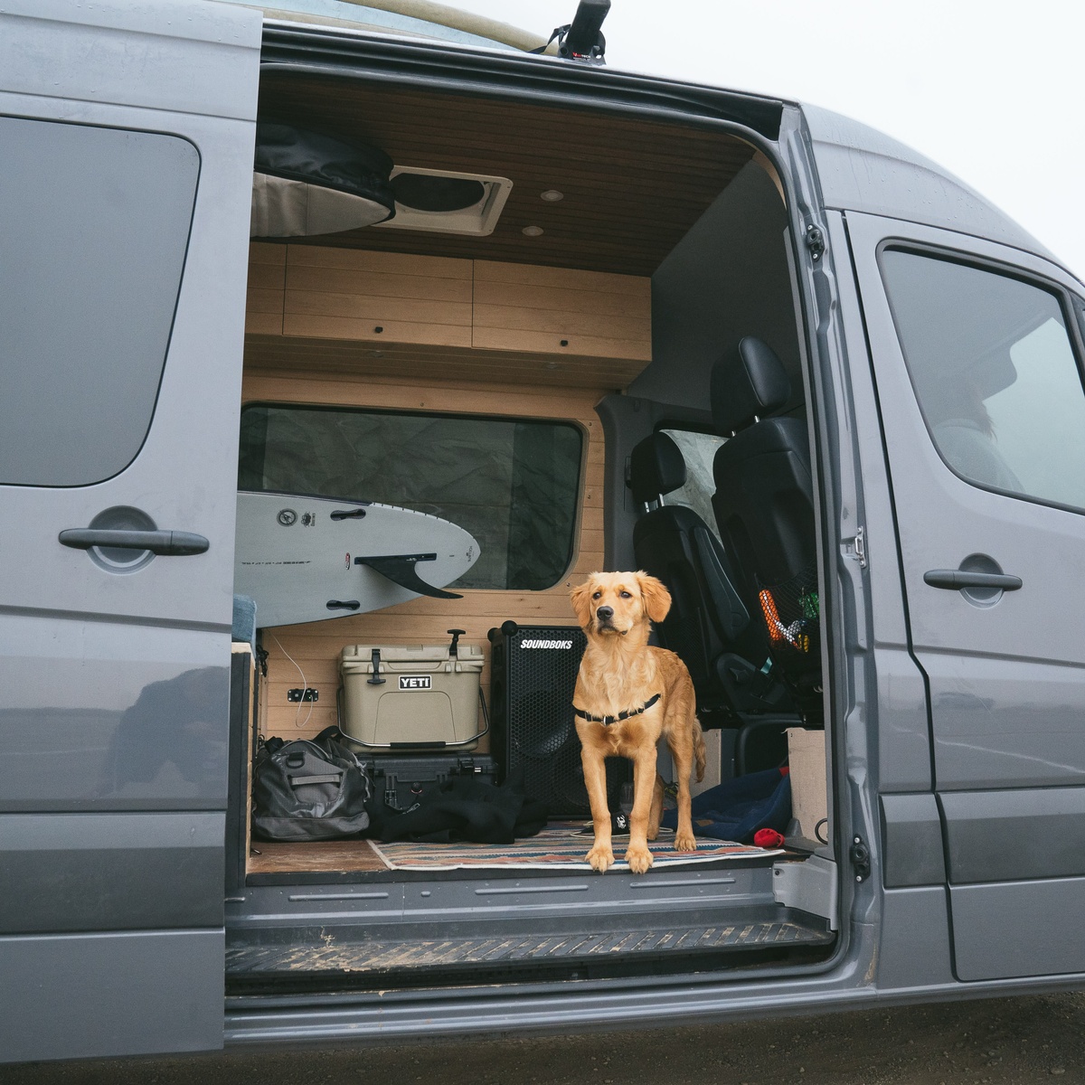 SOUNDBOKS in a van with a surfboard and puppy