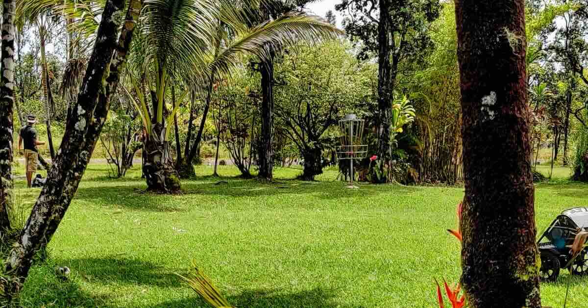 An area with lush vegetation and mown grass