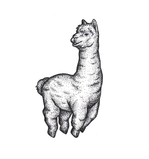 dotwork pontilhism style alpaca hand drawn