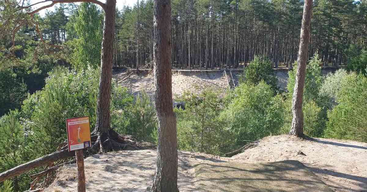 a disc golf hole over a cleft filled with trees
