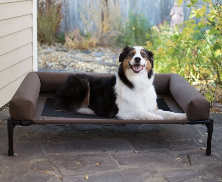 elevateddogbed.webp