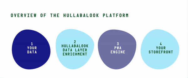 Overview of the Hullabalook platform