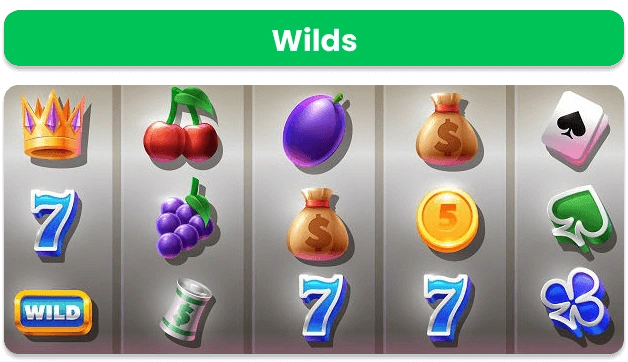 Best Real Money Online Slots to Play August 2024