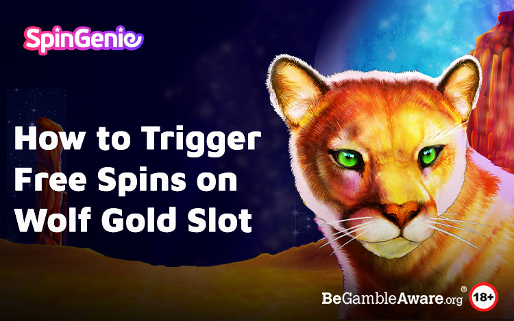 Wolf Gold Slot Free Spins Guide