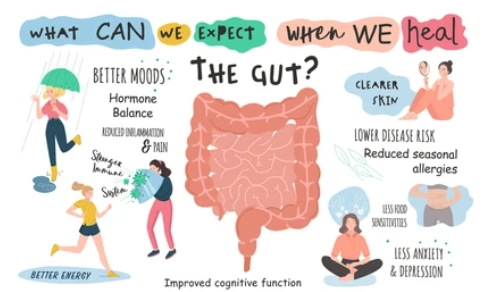 gut health benefits