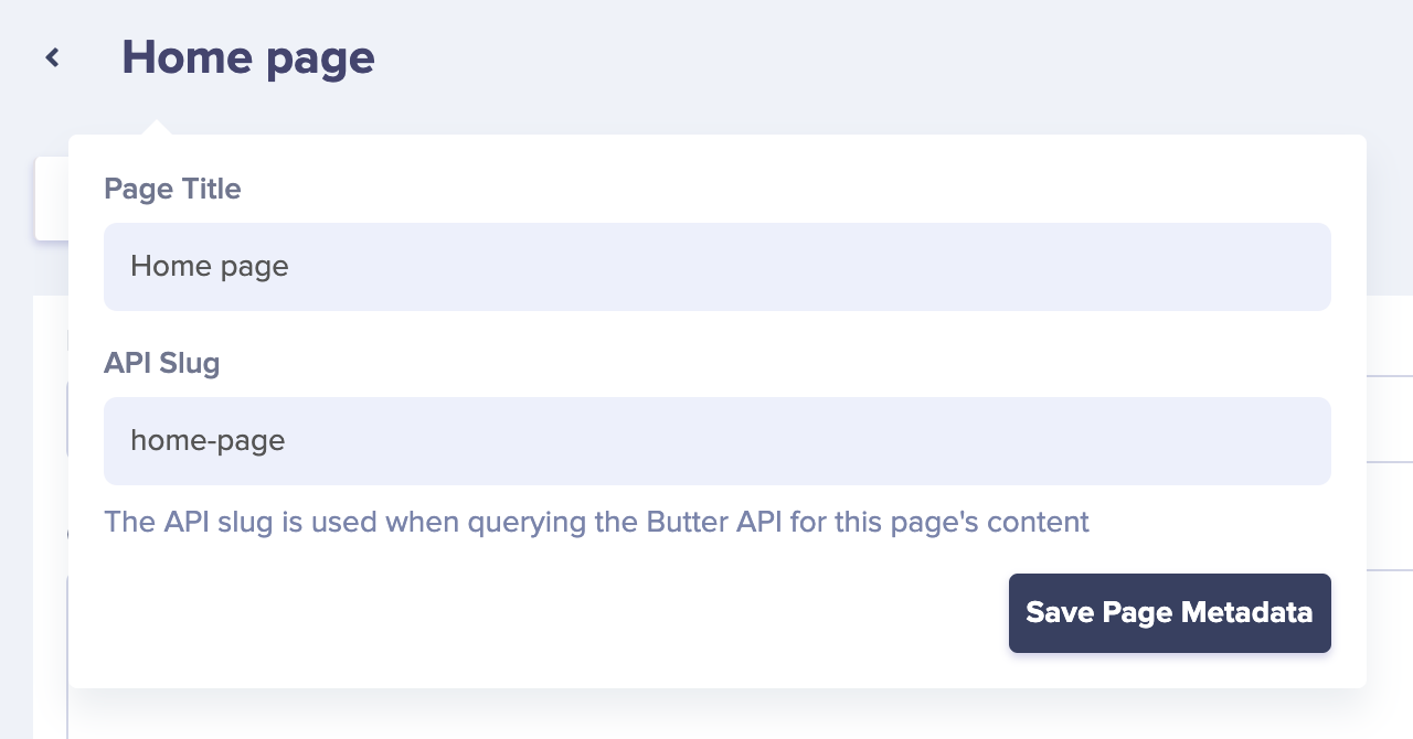 Screenshot: ButterCMS home page meta data fields