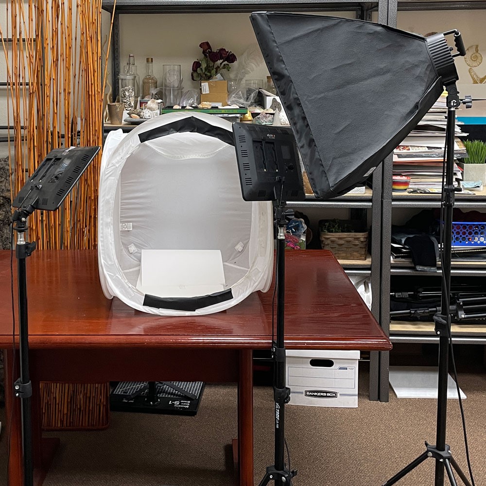 Halstead photo studio setup