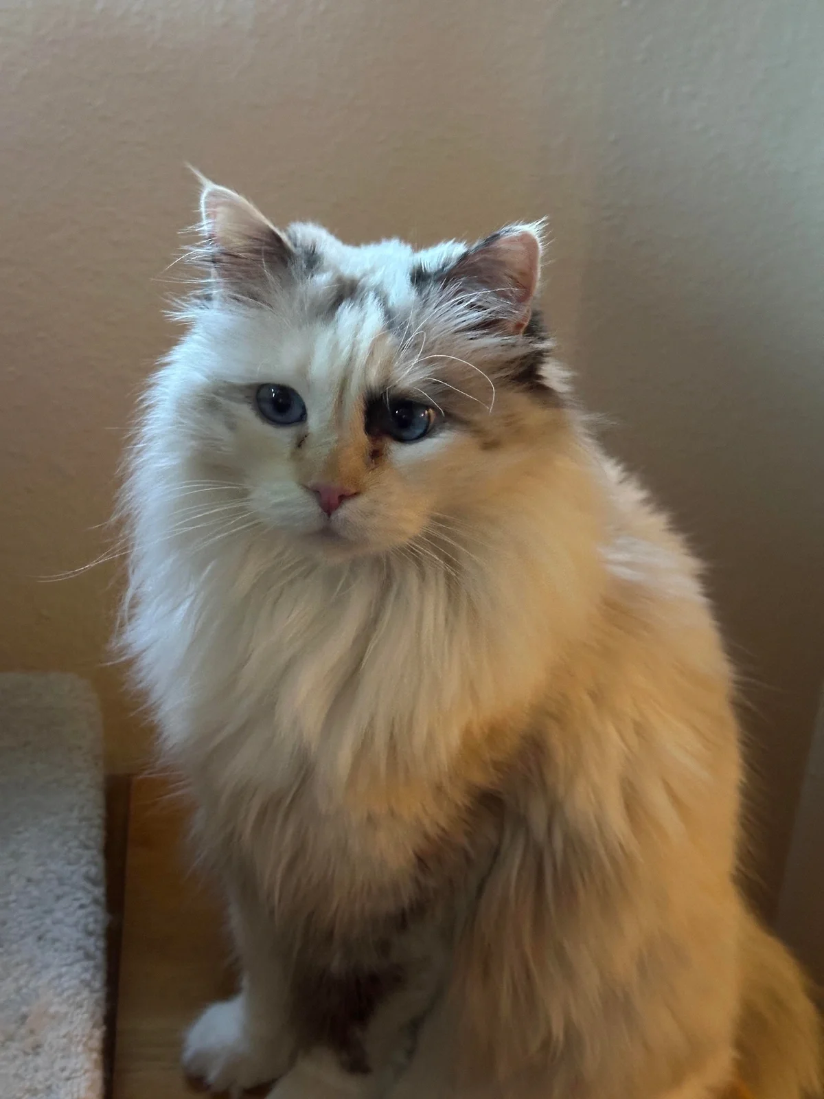 Steve