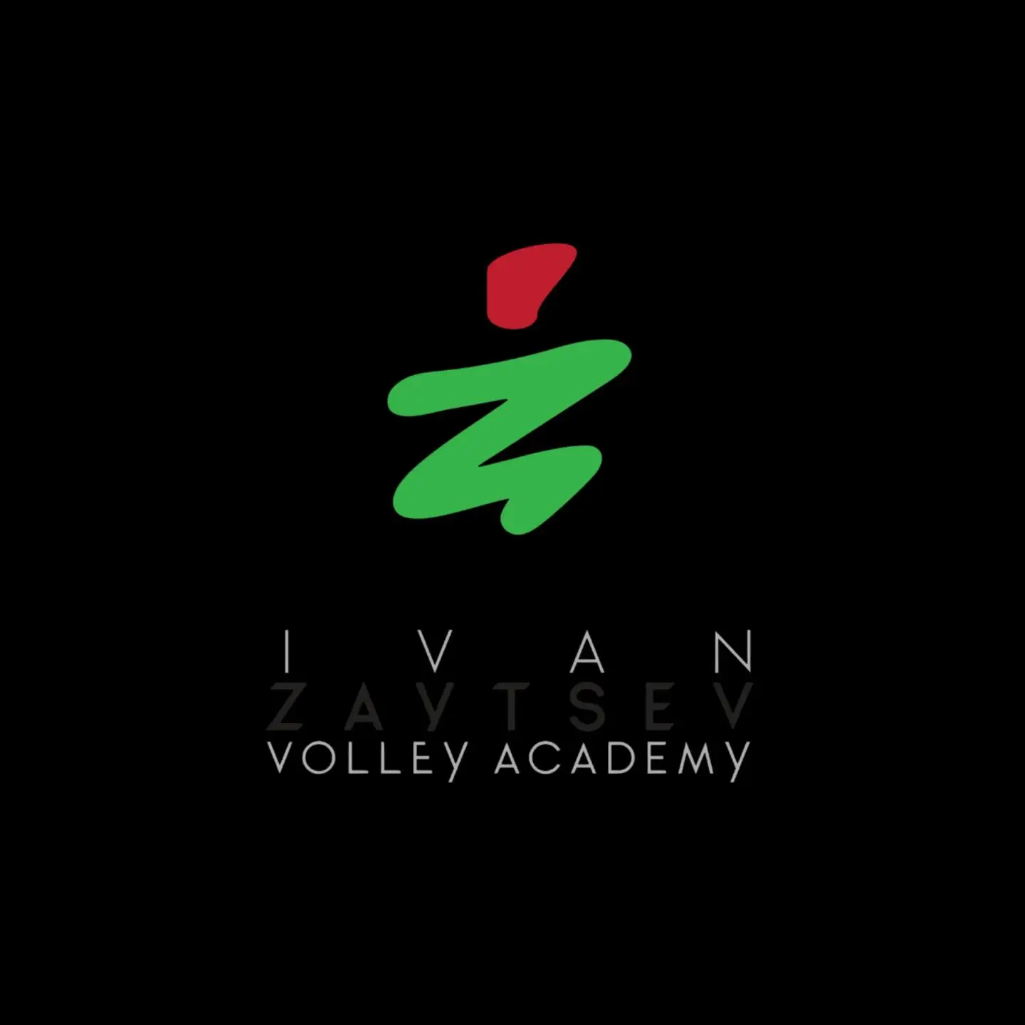 Ivan Zaytsev Volley Academy