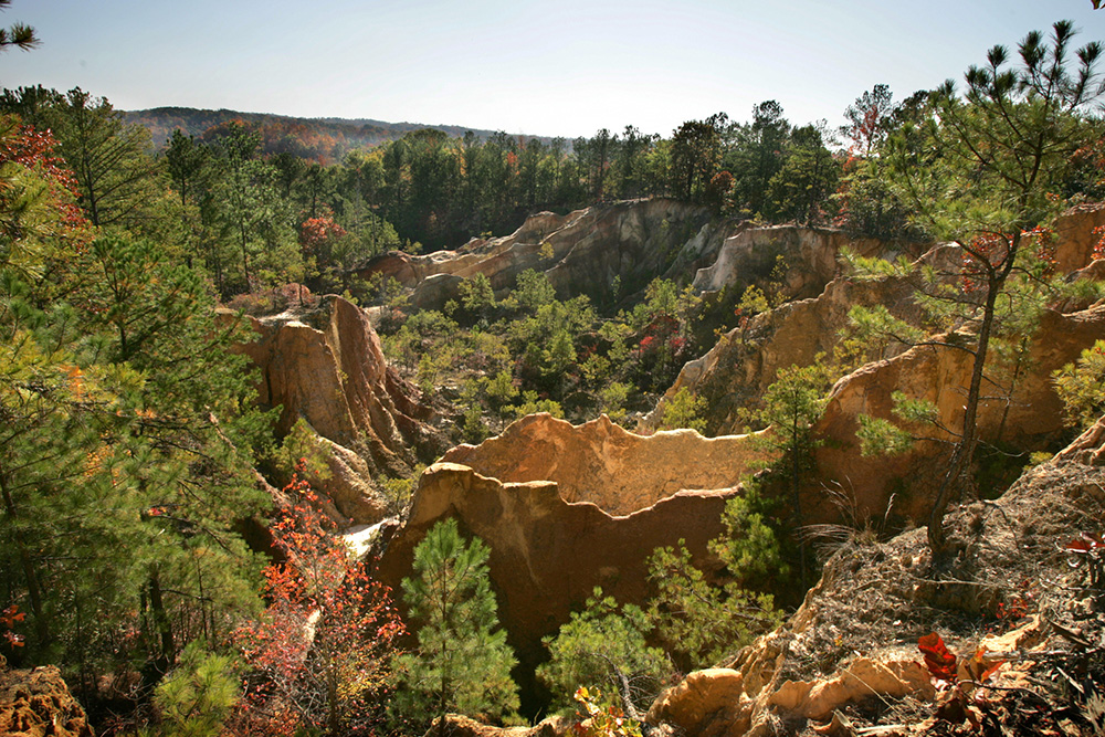 Ground view of Wetumpka Crater