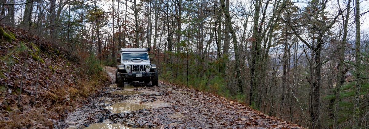 Tub Run.webp