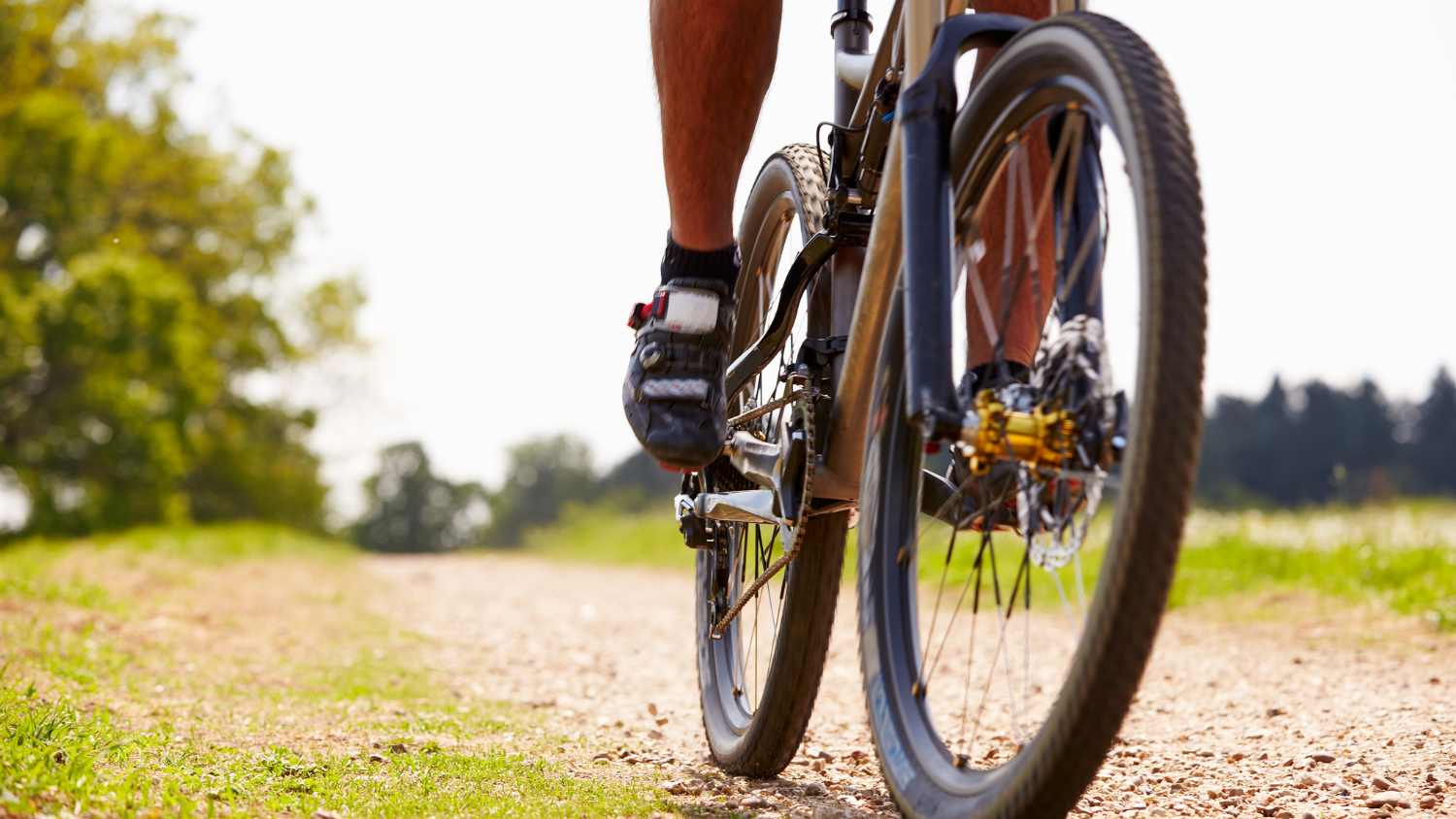 Moore springs mountain online bike trail