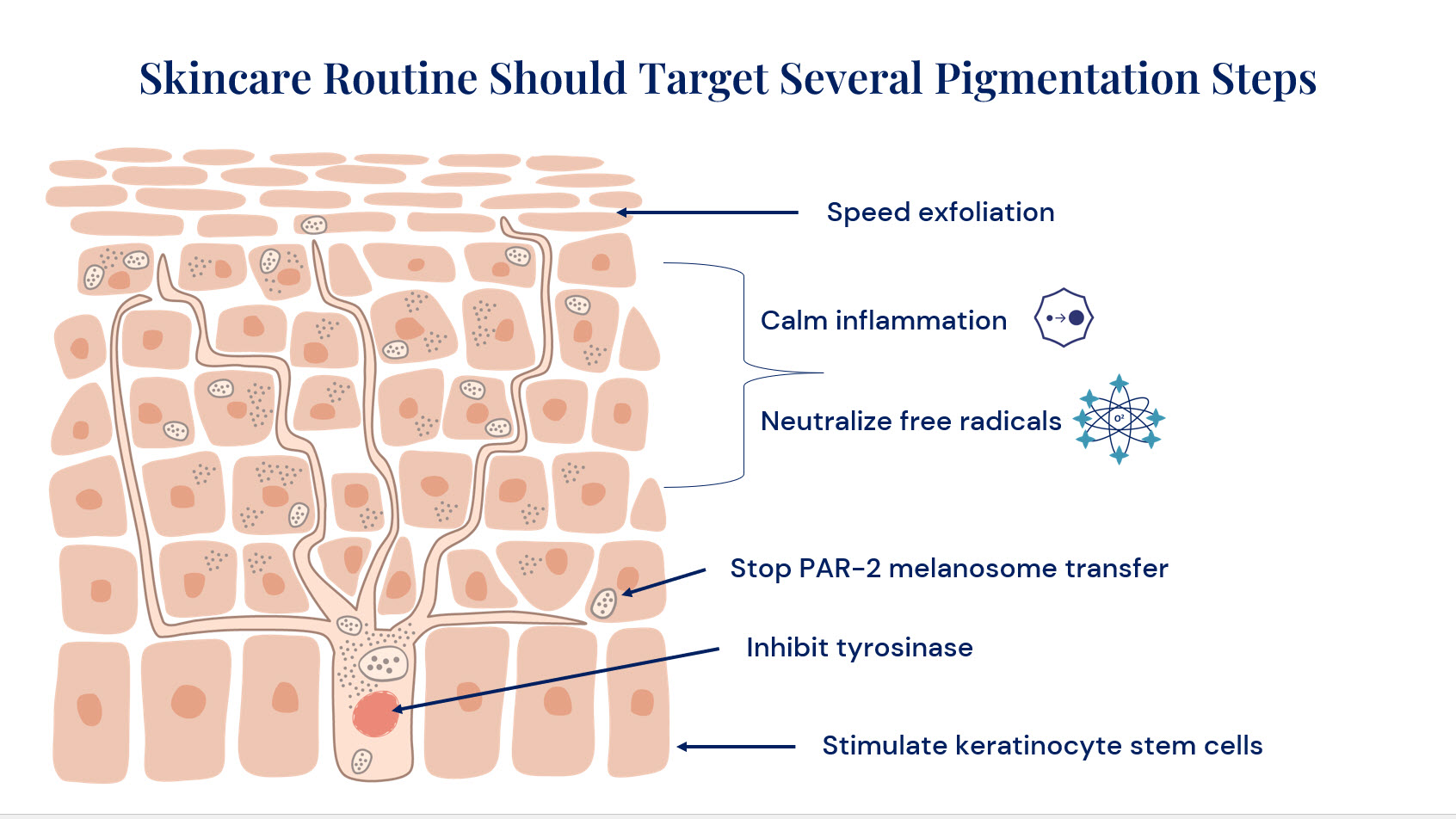 Skincare Routine Target Pigmentation.jpg