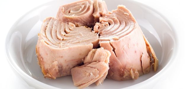atun.jpg