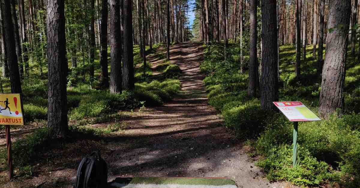 A tee pad leads to a tightly wooded fairway