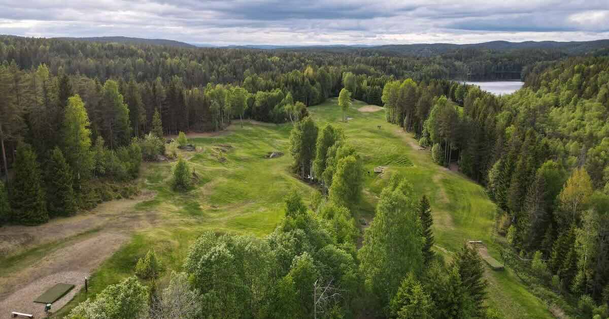 Aerial view of a mown area through thick forest and water and mountians in distance