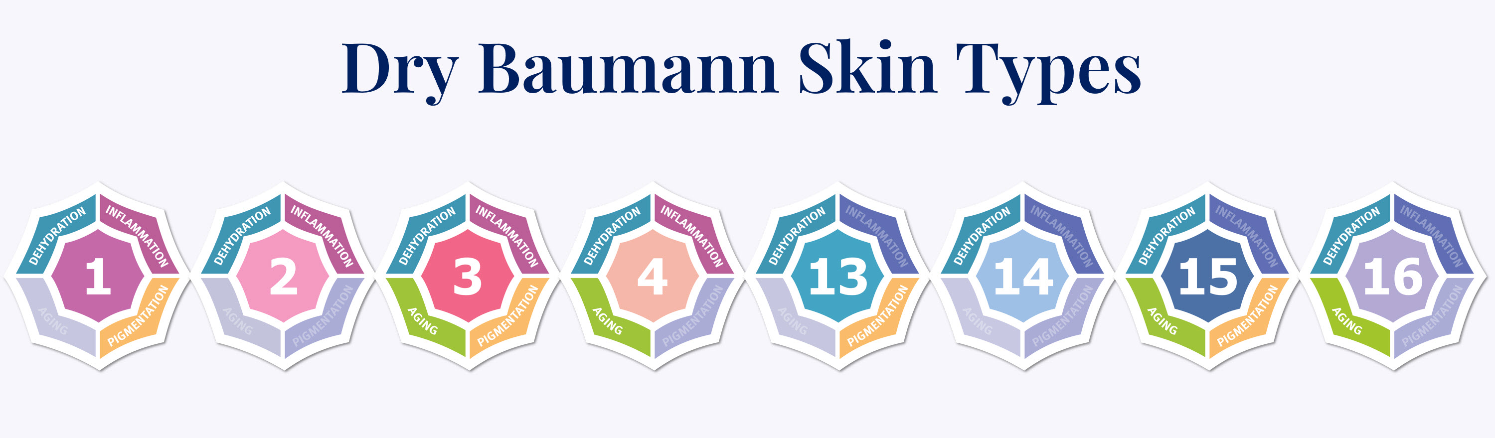 Baumann Skin Types Dry Skin.jpg