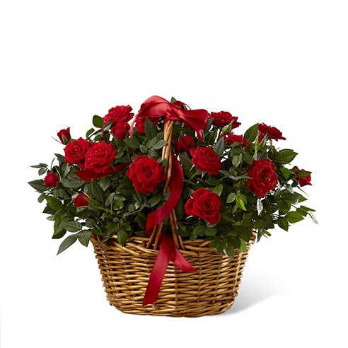 rose basket bouquet and plants safe f...