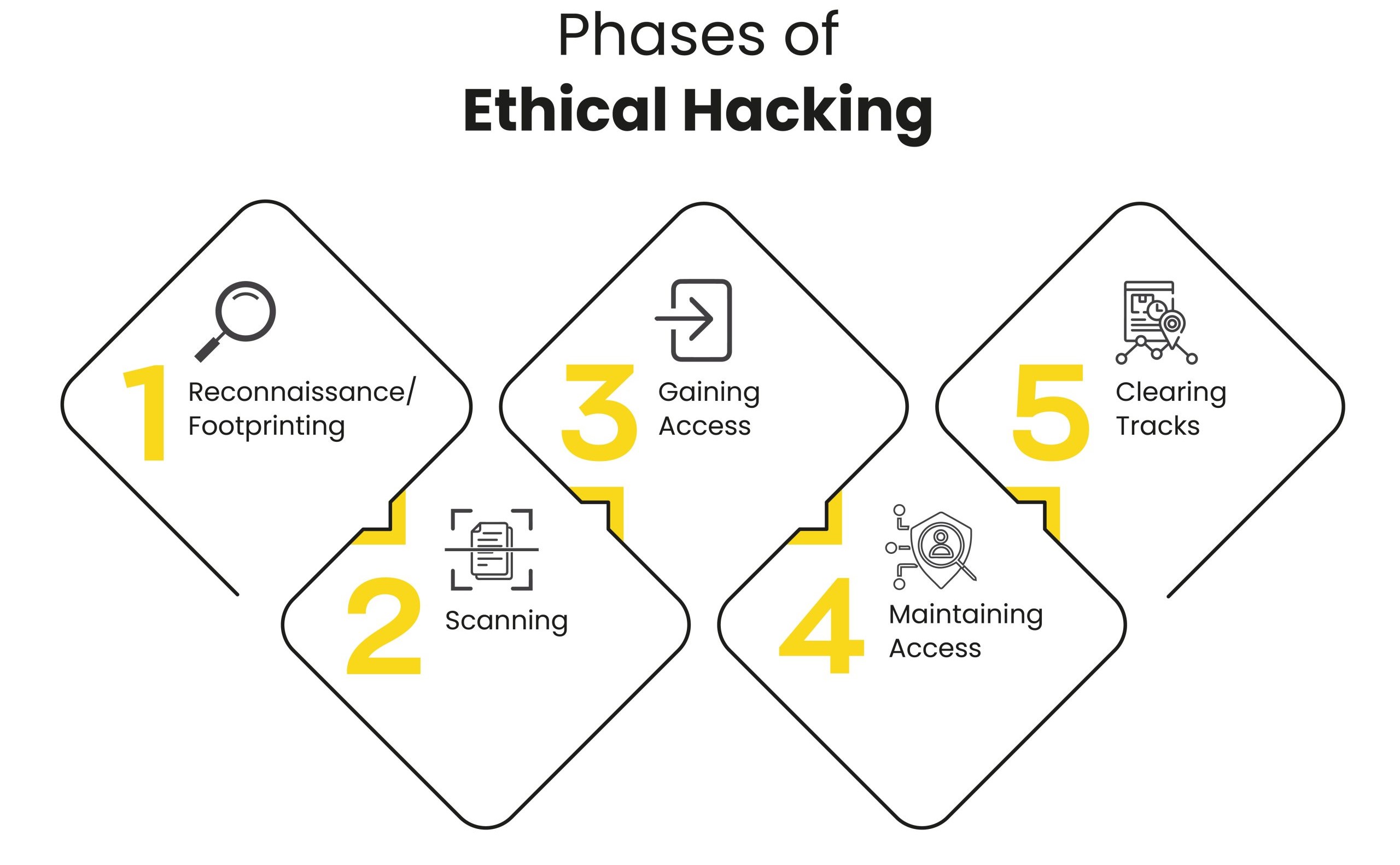 Phases Ethical Hacking Services