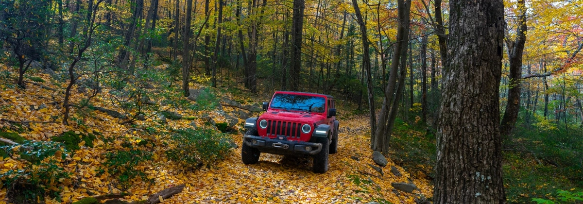 Henstep 4x4 Drivable Trail - PA