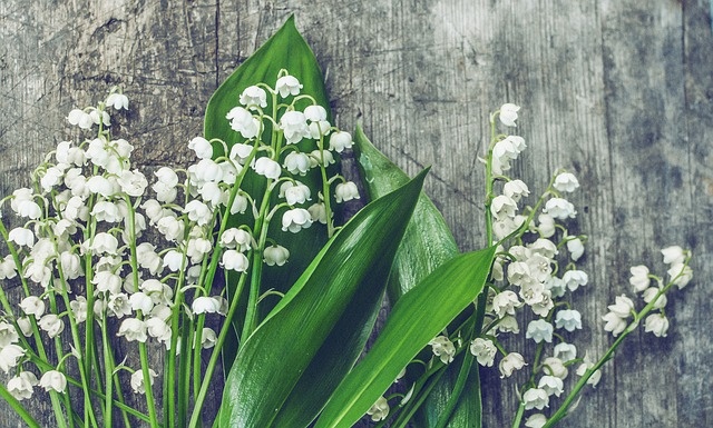 may birth flowers