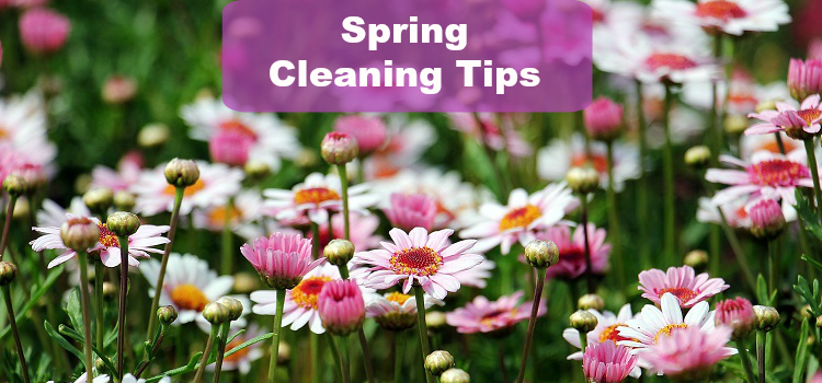 Spring Cleaning Tips for your Home
