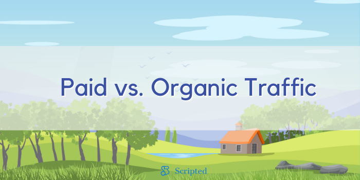 Paid vs. Organic Traffic