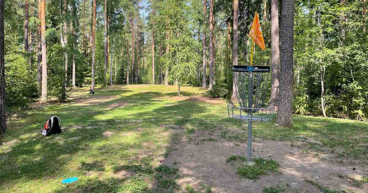 A disc golf basket on a clear fairway surrounded by tight woods