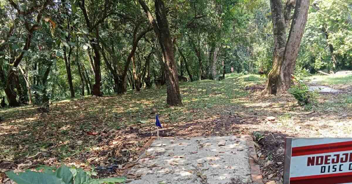 A concrete disc golf tee in a wooded area