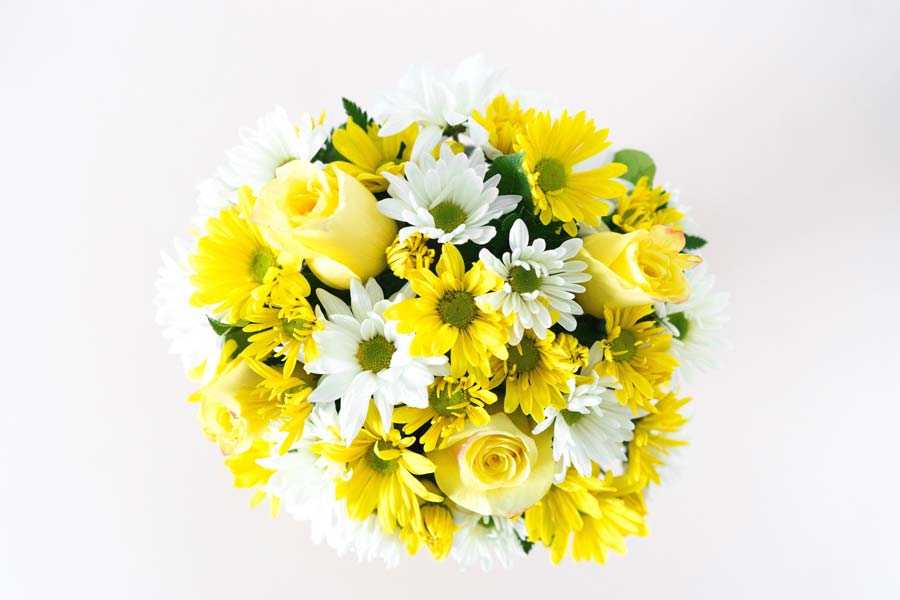 What are the Different Kinds of Daisies