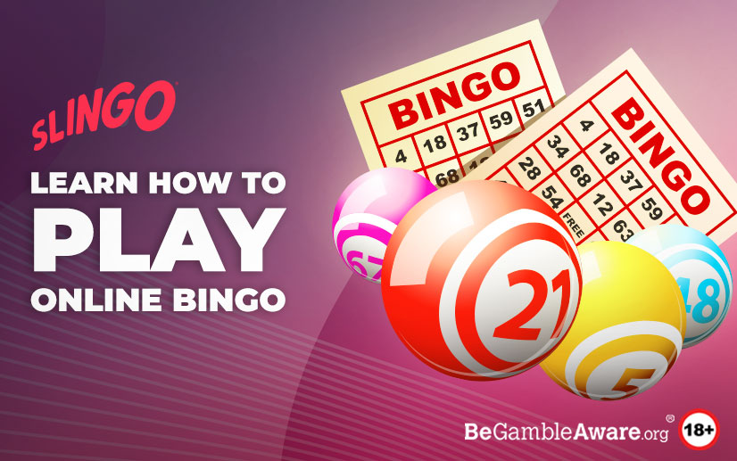 Bingo for Beginners: How to Play Bingo