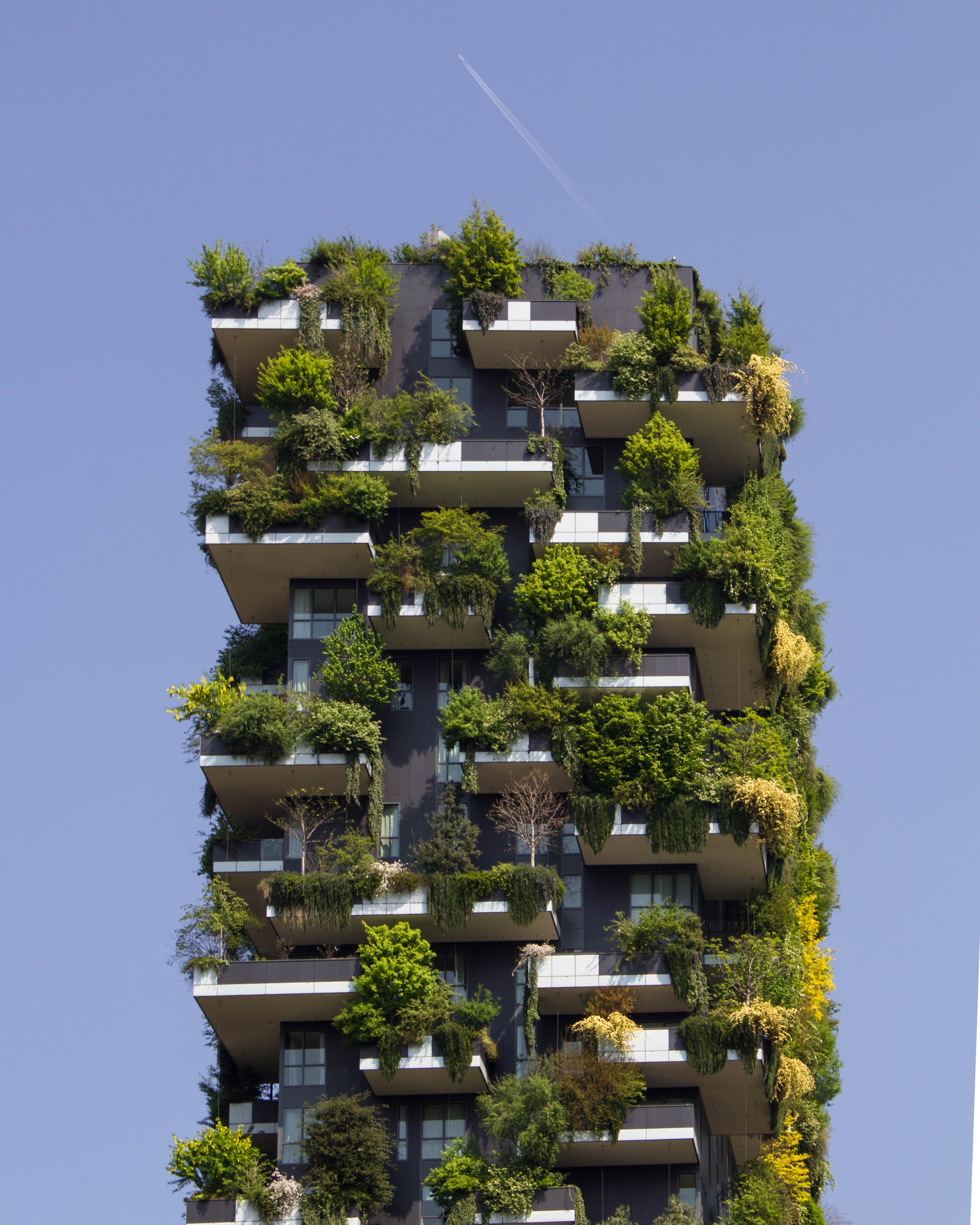 Image showcasing Rise of the Self-Sufficient City by Vonder