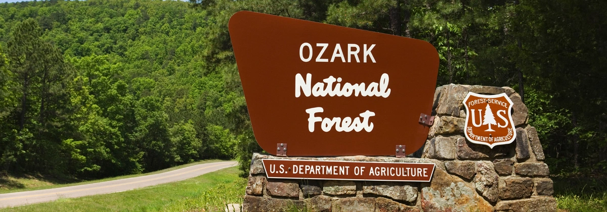 What to Expect When Off-Roading in National Forests.webp