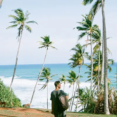 Man between the palm trees