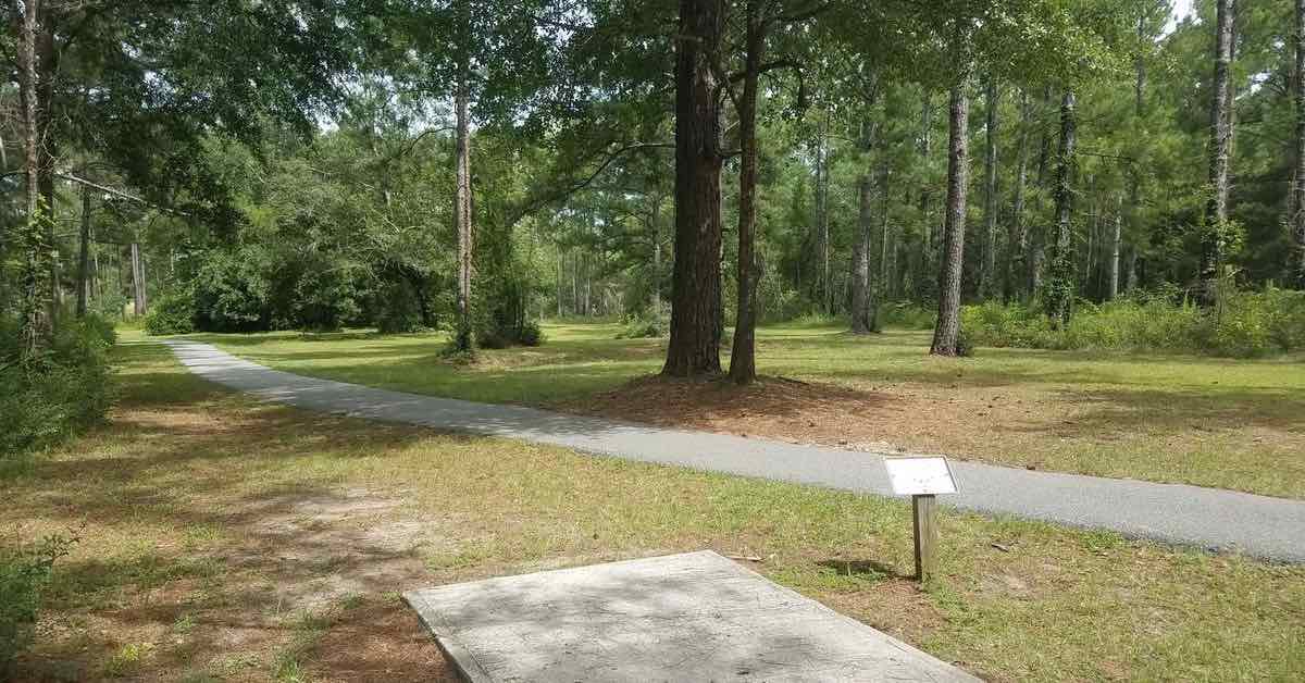 Concrete disc golf tee pad in flat, forested area
