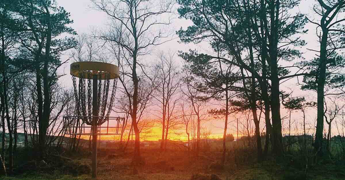 A disc golf basket in a slightly wooded area with orange sunset in background