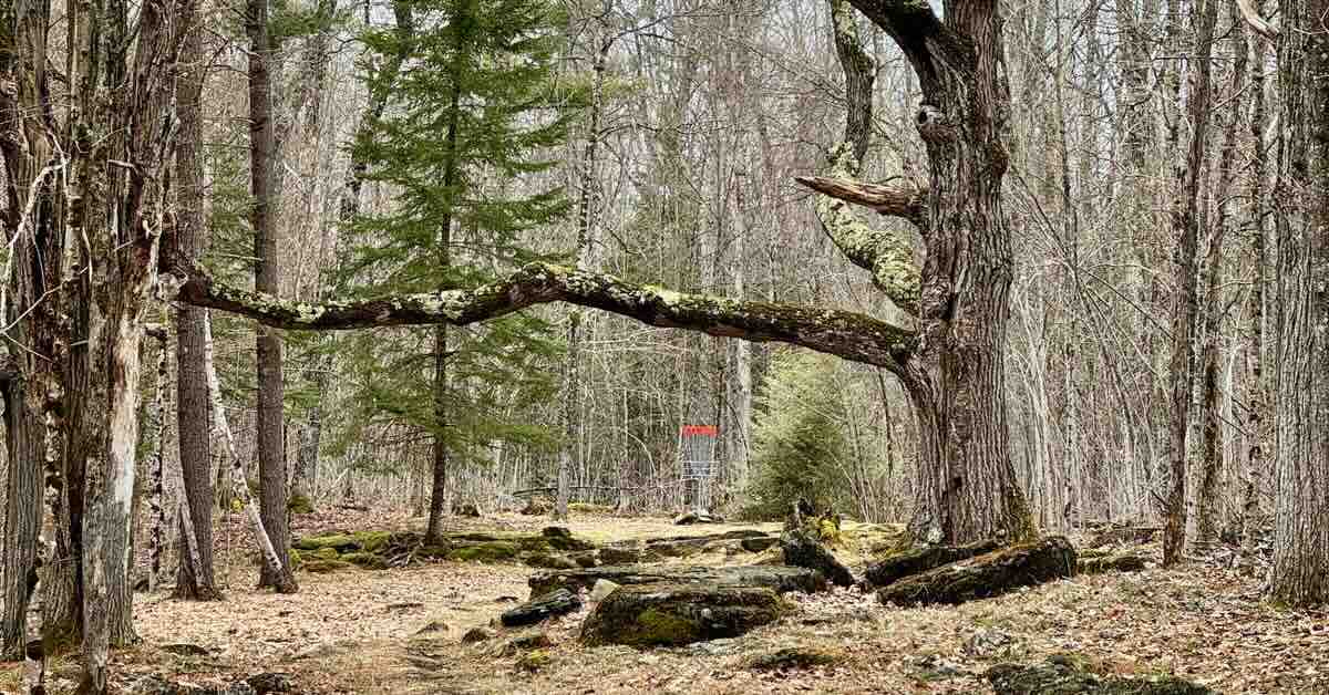 A wooded fairway leads to a red-banded disc golf basket