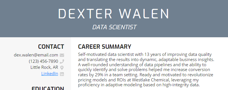 A resume summary for a data scientist with 13 years of experience