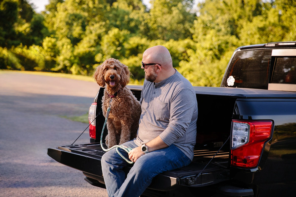 dog traveling in vehicle