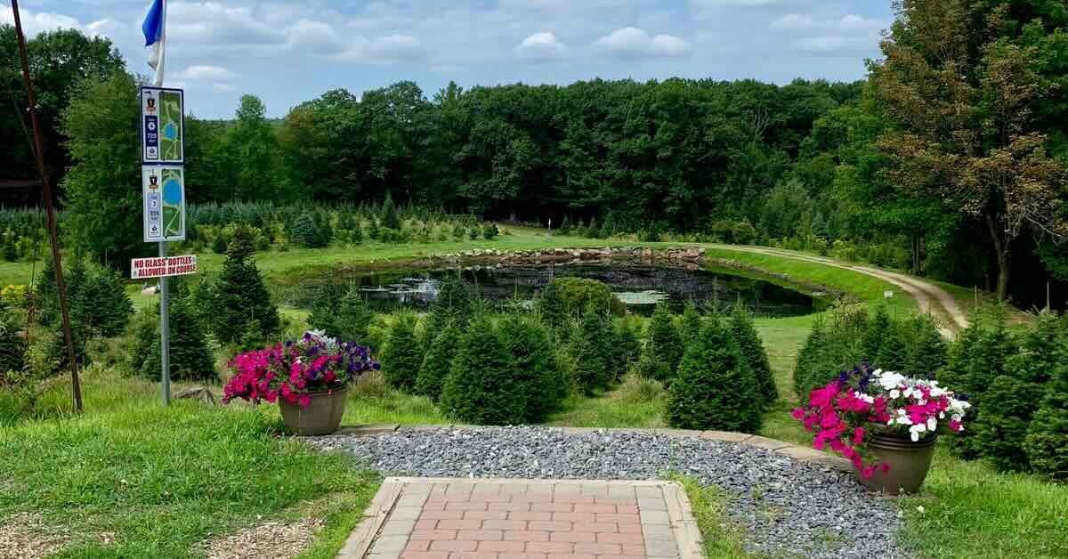 A disc golf tee pad in front of a fairway that drops down to a green area with Christmas trees and also water