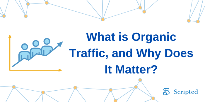 What is Organic Traffic, and Why Does It Matter?