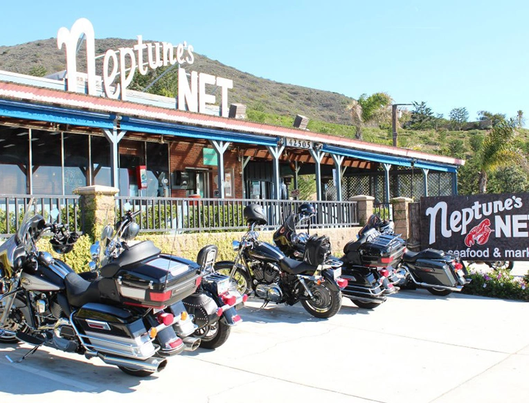 Neptunes Net Twisted Road