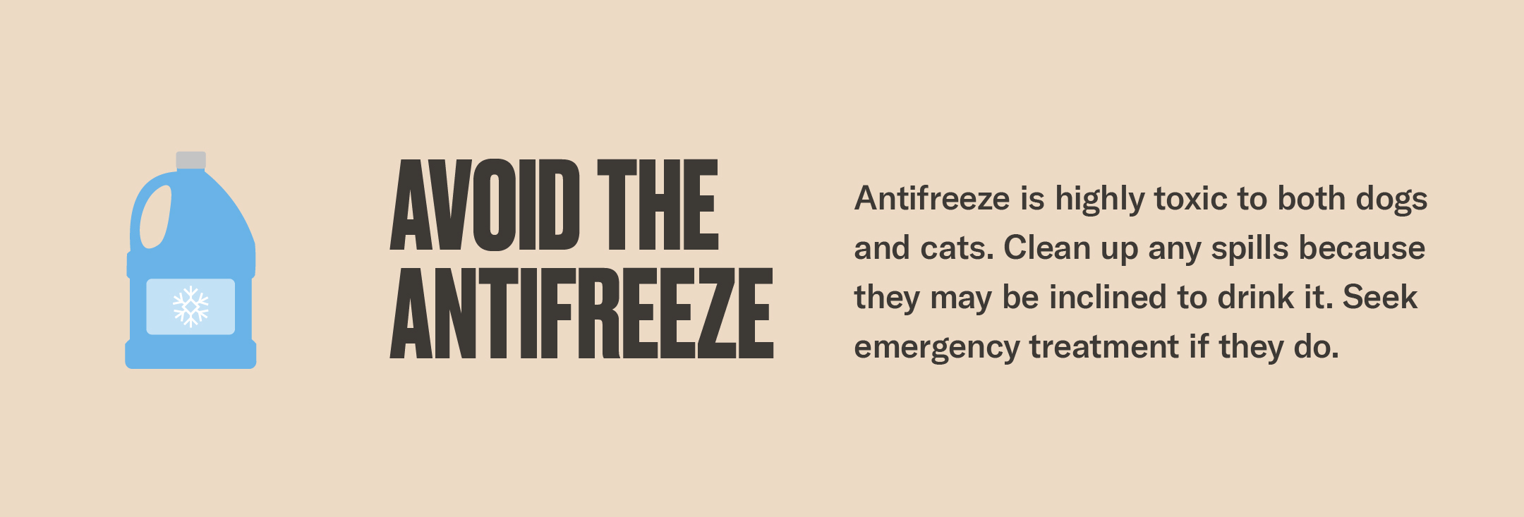 Antifreeze Safety