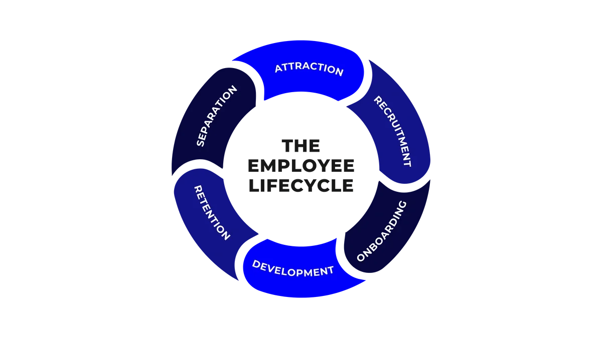 Employee Lifecycle infographic