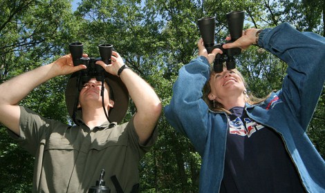 Alabama Birding Trail