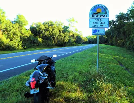 Daytona-ocala-national-forest.webp