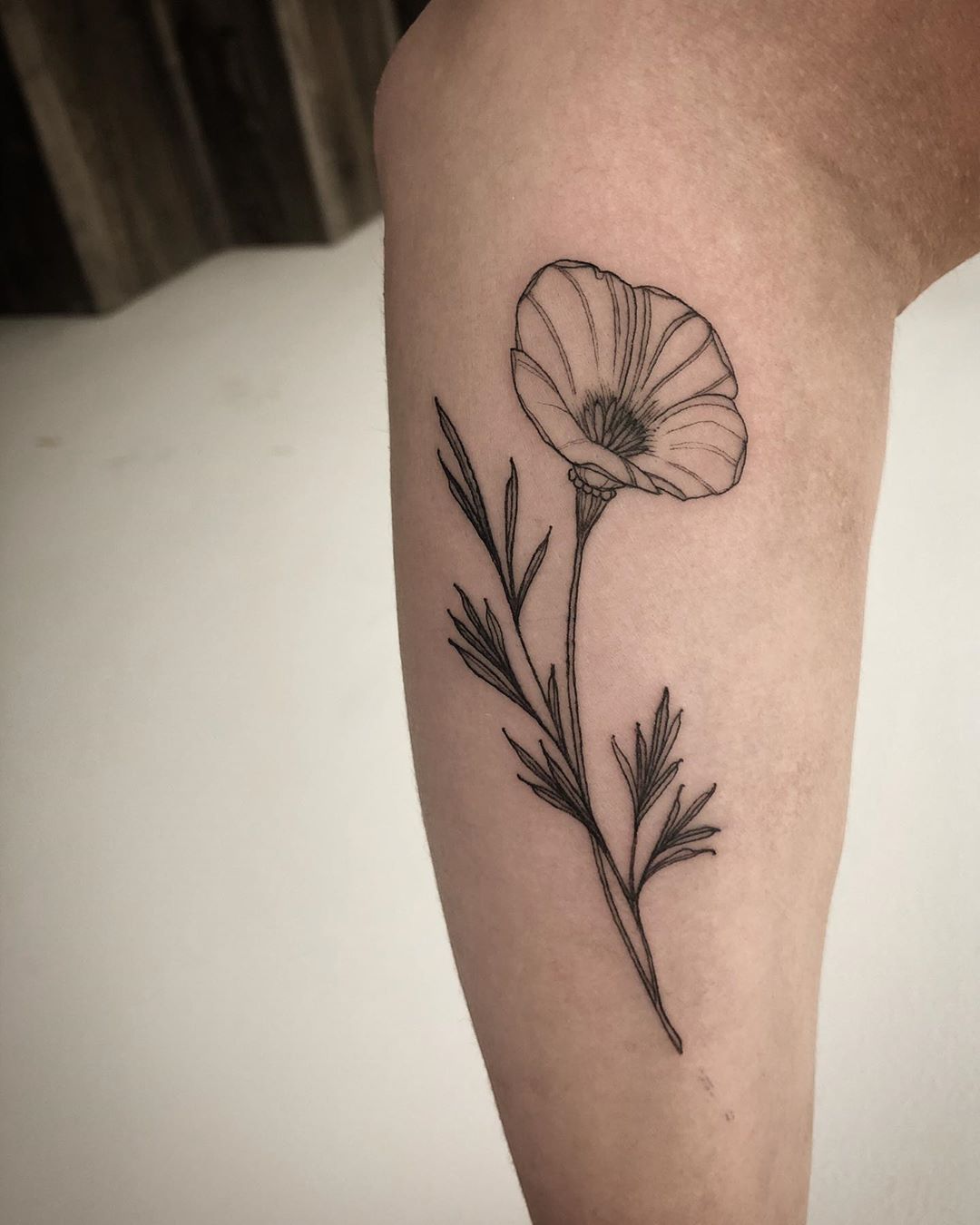 poppy flower tattoo black and white