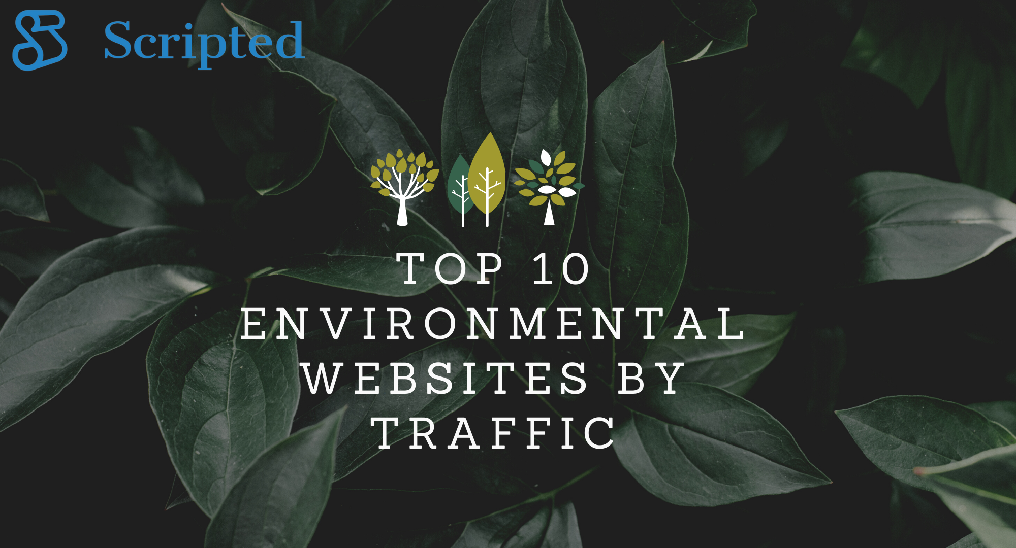 Top 10 Environmental Websites By Traffic