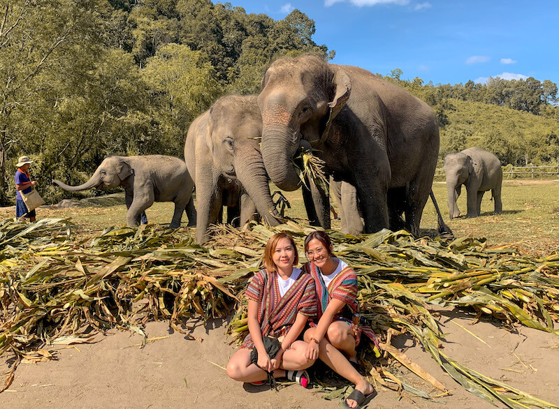 elephants eating in the background with bestie in Chiang Mai Thailand