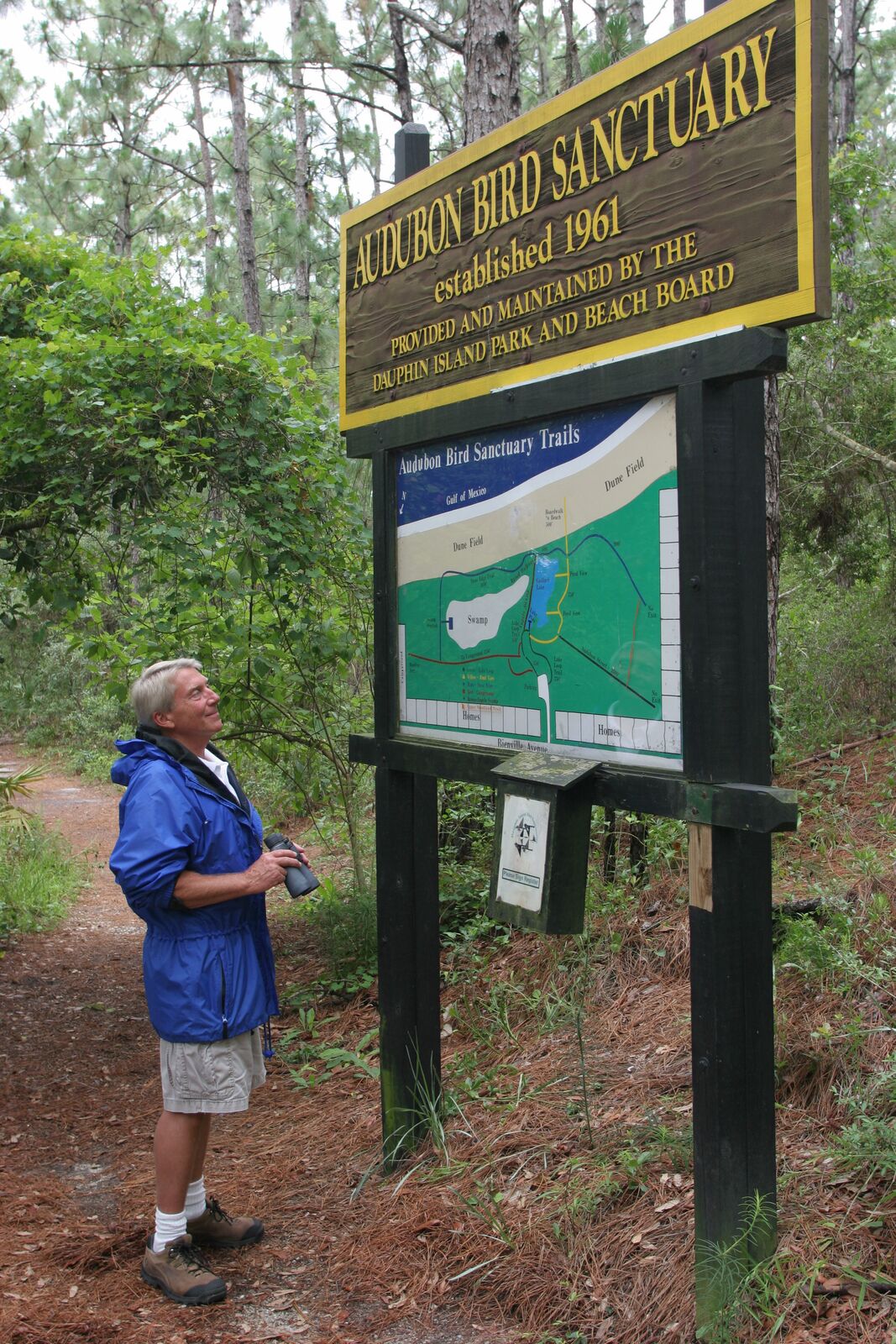 Man looking at a bird sanctuary song